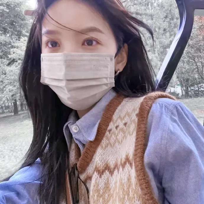 安娜与王子